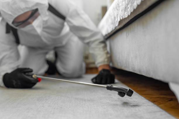 Professional Bed Bug Control technician working in Clinton, IA