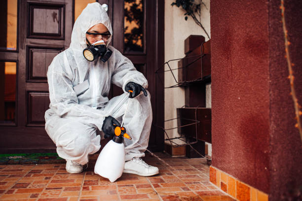 Reliable Bed Bug Control contractor in Clinton, IA by Nex Pest Control